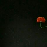 Zakaz mp3 (Uyda qoling) !rede