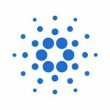 Cardano Dutch and Flemish Official🇳🇱🇧🇪