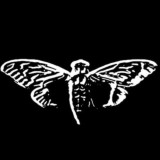 Каркасные дома/ СПБ