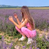 Le Dnevnique de Pamchique