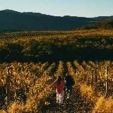 Путь к свободе | Вадим и Дари