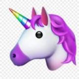🦄Telegram⚡️Crypto⚡️