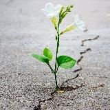 Дашины рифмы😉