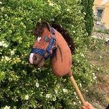 𝗺𝗮𝗿𝘆_𝗱𝗿𝗲𝘀𝘀𝗮𝗴𝗲🍸