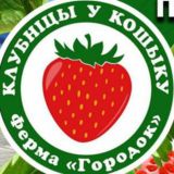 Ферма Городок