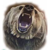 Чат Северный Мёд