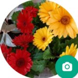 Цветы Аза Котикова