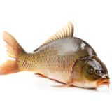 Инсайды от Карпа Chat