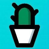 Кактус information