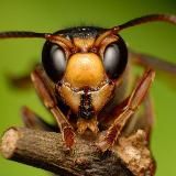 Work от Blessed🚀