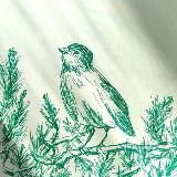 Wild Birds Art ❤️✨