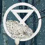 XR Berlin Aktion und Info