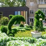 Творческая Мастерская Дмитрия Белявского"