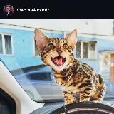 Jolan Aleksandrovich 18+