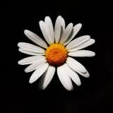 Голые😘Девушки😍сливы💚шкуры🥰хентай😘сливы💙пошлое💙видео💚гифки💚сериалы💚шлюшки💚красивые