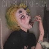 Сливная Крыса🐀 Original