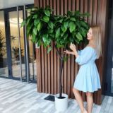 🌿На ветке - магазин декоративной флористики