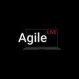 Agile Meetups and Webinars