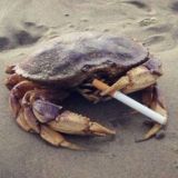 (╬ ಠ益ಠ)Отлучите автора от церкви