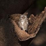 Сонный ликбез 😴