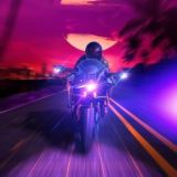 Цветочный сад