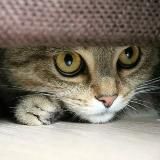 Бомбоубежища Москвы