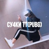 Сучки ТТ(pubg)