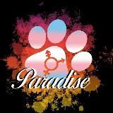 🏳️⚧️🌈 Andromorph Haven 🌈🏳️⚧️ (FTM and more)