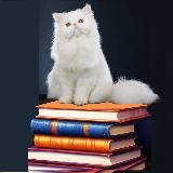 Зачетные книжки