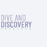 Dive&Discovery Research | Опитування