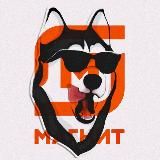 Бешеная Хаска канал 😍