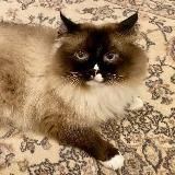 Аким и партнёры