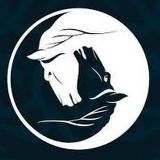 Тюргэн Кам «Дневник шамана»