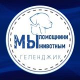 🩵МЫ ПОМОЩНИКИ ЖИВОТНЫМ🐾 ВОЛОНТЁРСКАЯ ГРУППА ГОРОДА • 𐌲ᥱ᧘ᥱнджᥙκ
