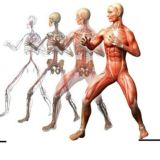 ❗ЛФК ФИТНЕС ДИЕТОЛОГИЯ РЕАБИЛИТАЦИЯ МАНУАЛЬНАЯ ТЕРАПИЯ БИОХИМИЯ