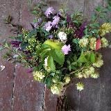 Дерево жизни 🌿 Танечка и ее веточки