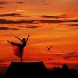 Алый закат🕊️✨