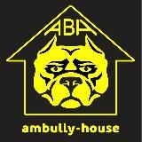 Ambully House