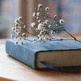 Your Library / Books 📚🔖