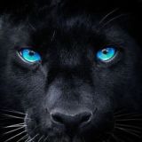 ЭКСПЕРТНЫЙ ПРАЙД Влады Фроловой