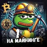 Pepe майнит 🍋 Майнинг, оборудование, аналитика