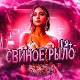 Свиное рыло 18+
