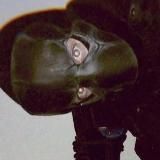 переезд в «артур гроза вещает 2.0»