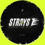 Strays 7
