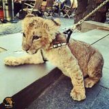 ✵ XuLiGaNisTaN ✵