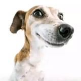 𝙛𝙯𝙣𝙩𝙪 ам ам