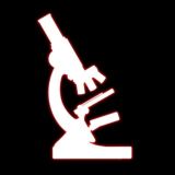 Поясни за гисту ЧАТ