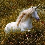 🍂Mental Detox🍂