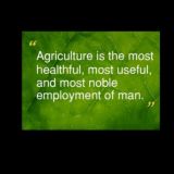 🌾Millet Family🌾@🌵🌴Eco Family🌴🌳