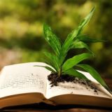 Первый Цветочный chat🪴